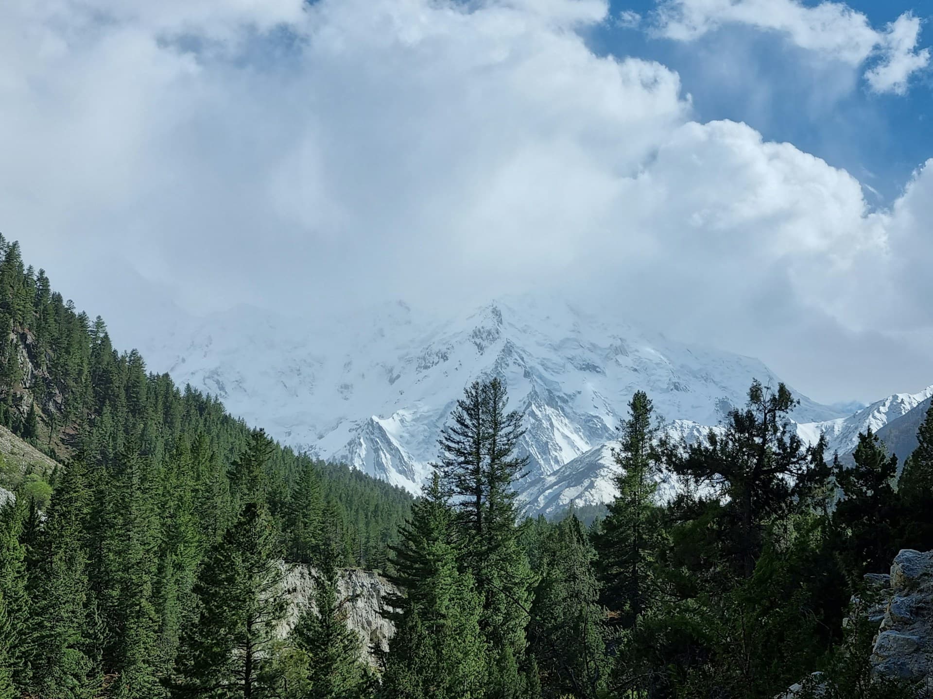 Nathia Gali in Spring: March, April and May Guide (2026)